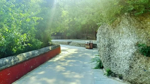 Walking on the Mountain Top under Bright Sunshine Stock Footage 315936662