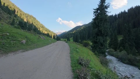 Walking a mountain trail in a conifer valley, Altyn-Arashan, Kyrgyzstan Stock Footage 347242599