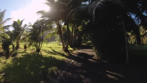 Walking moving forward into along narrow back road trail with vegetation of coco Stock Footage 259465121