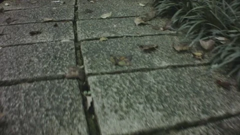 Walking moving forward low angle shot view of damp wet cement concrete tiled flo Stock Footage 236229534