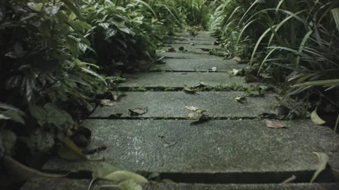 Walking moving forward low angle shot view of damp wet cement concrete tiled flo Video stock 236229582