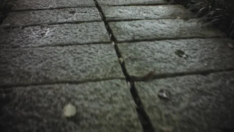 Walking moving forward low angle shot view of damp wet cement concrete tiled flo Stock Footage 236229814