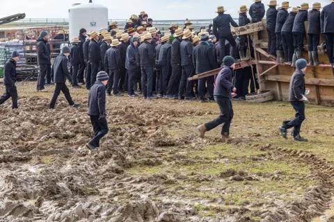 Walking in Mud Stock Photos