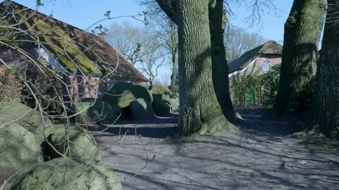 Walking on a mysterious path in a green enchanted forest Vidéo 332043570