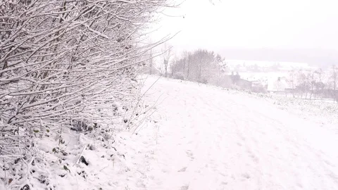 Walking on a narrow path in a forest 스톡 동영상 102396127