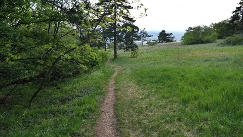 Walking on narrow pathway between forest and forest steppe, 4K Stock Footage 107530276