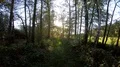 Walking on a narrow wild nature path between trees and meadows in autumn season 4k or 4k+ Resolution
