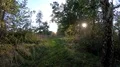 Walking on a narrow wild nature path between trees and meadows in autumn season 4k or 4k+ Resolution