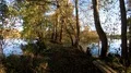 Walking on a narrow wild nature path between trees and lakes in autumn season 4k or 4k+ Resolution