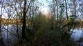 Walking on a narrow wild nature path between trees and lakes in autumn season 4k or 4k+ Resolution
