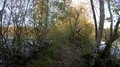 Walking on a narrow wild nature path between trees and lakes in autumn season 4k or 4k+ Resolution
