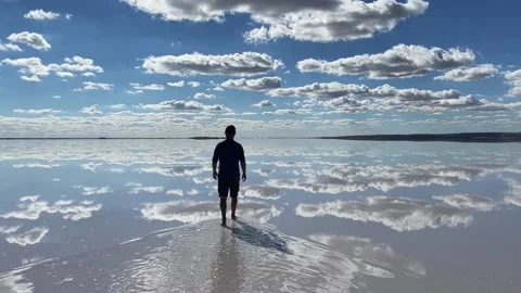 Walking on a natural mirror Video stock 239845325