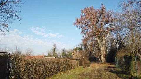 Walking in a natural park in winter time Stock Footage 122169869
