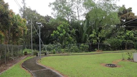 Walking in the nature in the community Stock Footage 170168225