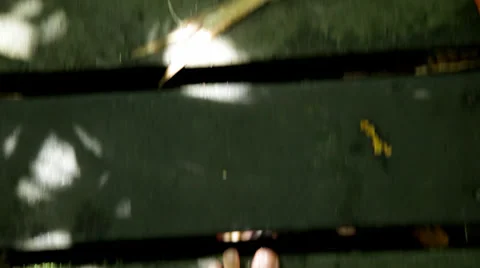 Walking into the nature. Stock Footage 34161312