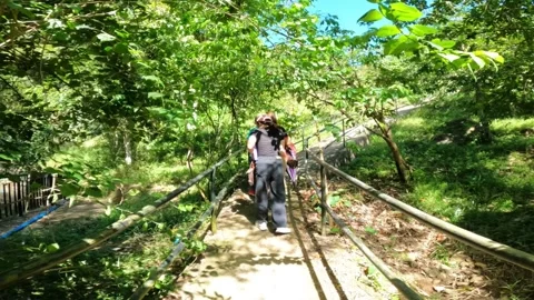 Walking with nature Stock Footage 267796863