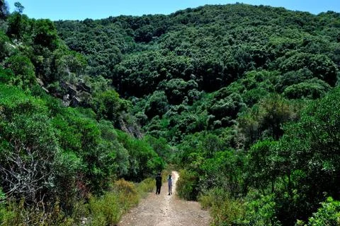 Walking in the nature Stock Photos