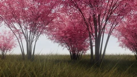 Walking in Nature Timelapse - Loop Lands... | Stock Video | Pond5
