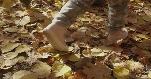 Walking nature trail Stock Footage 142326322