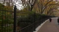 Walking near Washington Market Park on Greenwich Street 4k or 4k+ Resolution