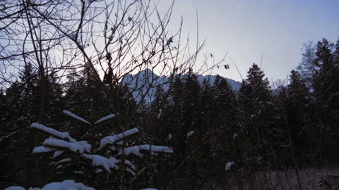 Walking next to forest and mountain massif during winter Stock-Footage 147503421