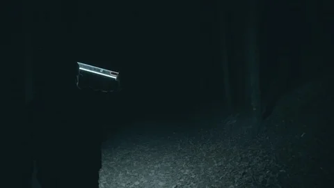Walking at night in dark forest with LED flashlight Stock Footage 118500035