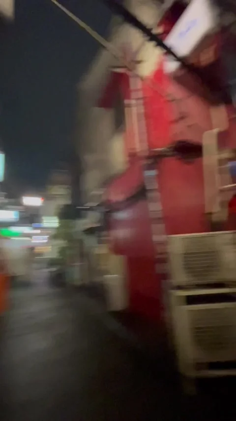 Walking at night Stock Footage 236261954