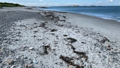 Walking Ocean Beach in Rhode Island Stockbeeldmateriaal 115919943