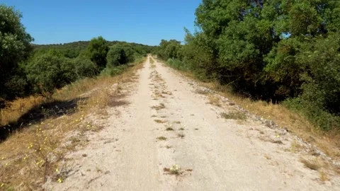 Walking on old railroad converted into a path with trees Video stock 136920535