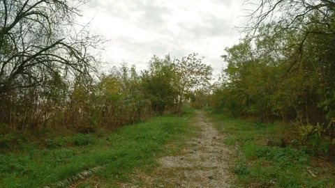 Walking on old road at autumn cloudy day. Point of view Steadicam shot Video stock 82171959