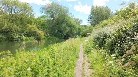 Walking out of the forest and by the River Nene 库存影片 337414478