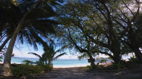 Walking out to the ocean from forest leafy sandy beach side Stock Footage 157580411
