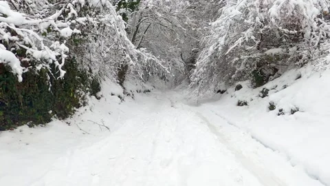 Walking out in the winter on a beautiful forest Stock Footage 146338270