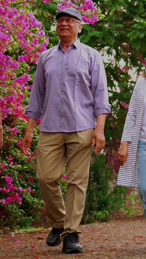 Walking outdoors, Indian seniors laugh, chat and celebrate joyful reunion Video stock 342387053