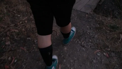 Walking over bridge Stock Footage 78335491