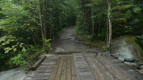Walking Over Bridge Forest Stock-Footage 52227104
