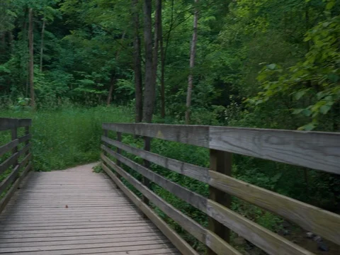 Walking over bridge in woods surrounded by tall green foliage Stock Footage 82671901