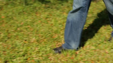Walking over grass and leaves. View of tennis shoes pan B Stock Footage 106833374