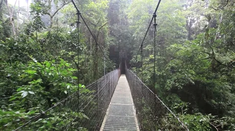 Hanging Bridge Stock Footage ~ Royalty Free Stock Videos | Pond5