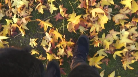 WALKING OVER THE LEAFS IN THE GROUND Stock Footage 99664775