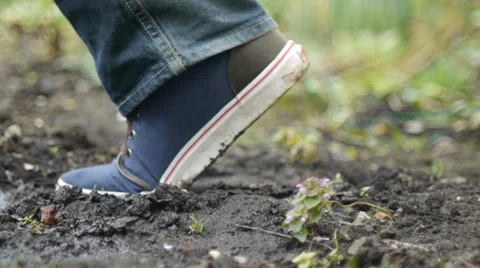 Walking Over lush Moist Soil Stock Footage 36962473