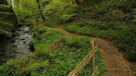 Walking over small forest bridge Stock Footage 39383276