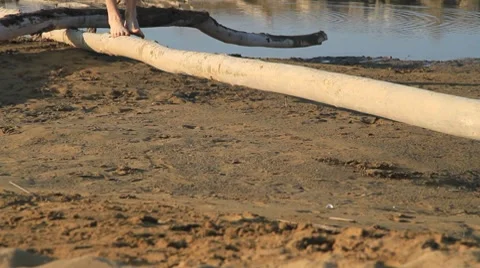 Walking over the tree Video stock 8691840