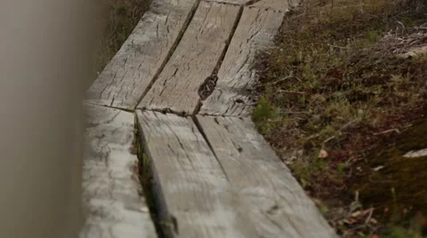 Walking over wooden planks during hike Stock Footage 59779565