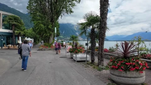 Walking Palm Tree Lined Lakeside Path in Riviera Setting Stock Footage 340367304
