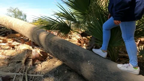 Walking on Palm Trees Video stock 153270179