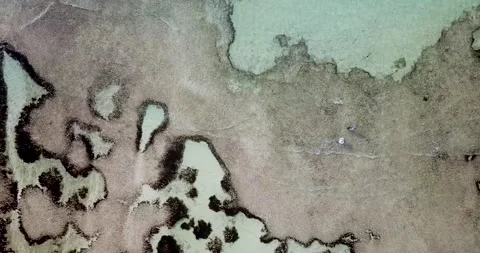 Walking in Paradise Stock Footage 152456471