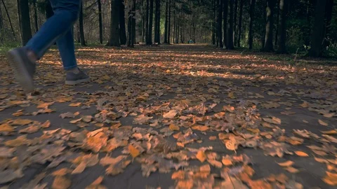 Walking in park, Autumn background fallen leaves pattern moving forward 库存影片 96690763