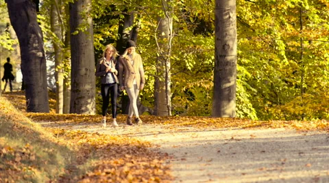 Walking at park in autumn Stock Footage 56913769