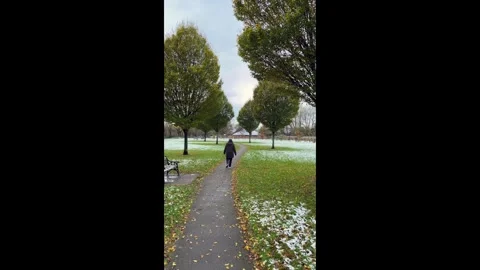 Walking in the park away from camera vertical video Vidéo 292875950